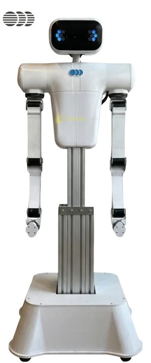 ROBO-T1 humanoid robot by ROBO humanoid guide