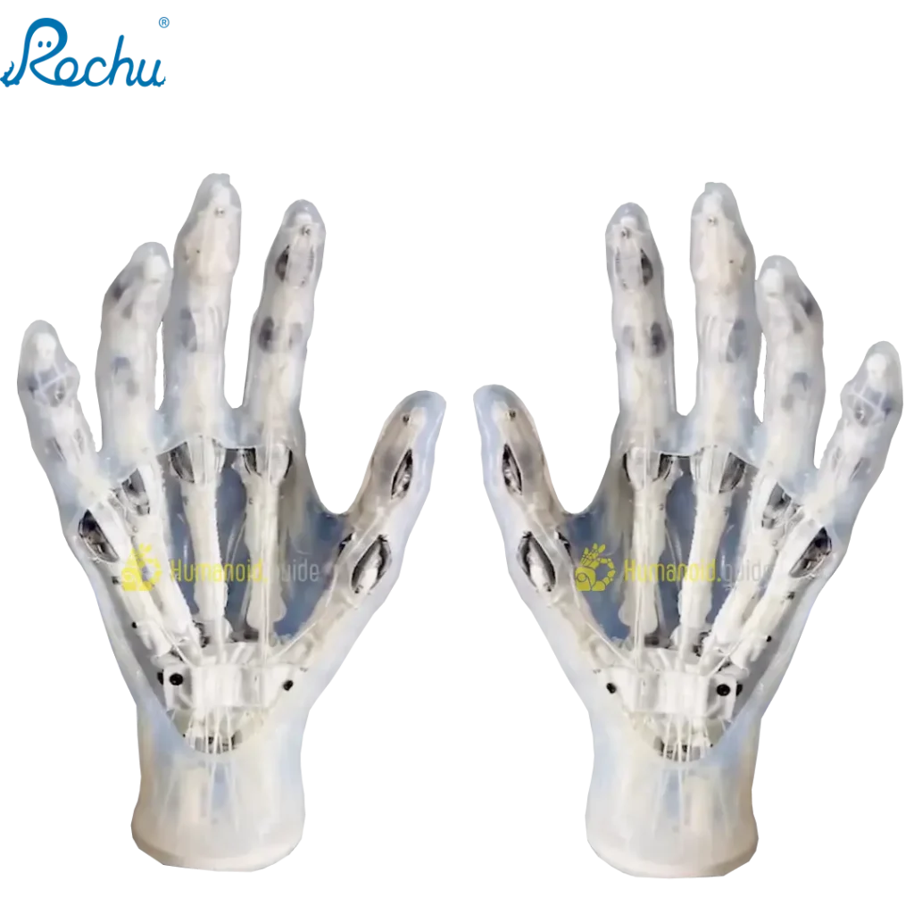 Rochu Hand