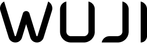 WUJI TECH logo humanoid guide