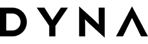 Dyna Robotics logo humanoid guide