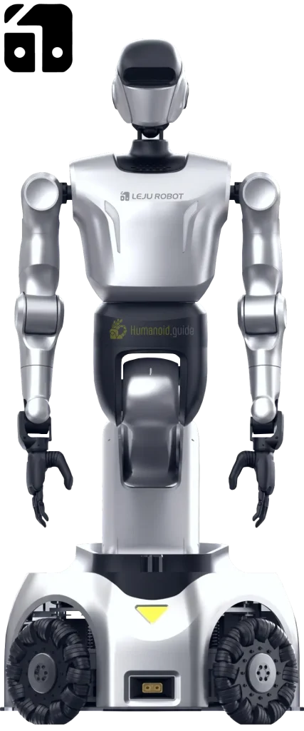 Leju Robotics