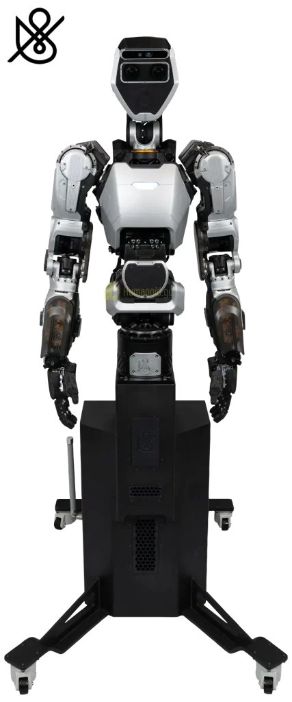 Sanctuary AI