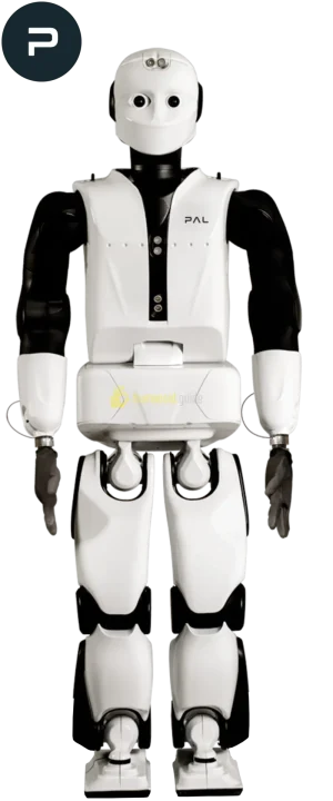REEM-C humanoid robot by PAL Robotics humanoid guide