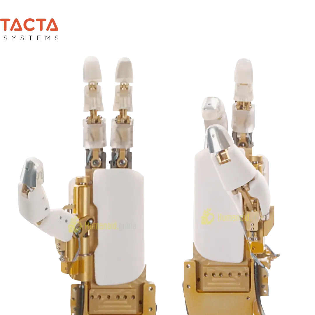 Tacta Hand by Tacta Systems humanoid guide Tacta Hand by Tacta Systems humanoid guide