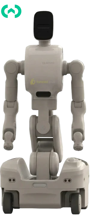 Gento Luna Humanoid robot by Gento Robotics humanoid guide