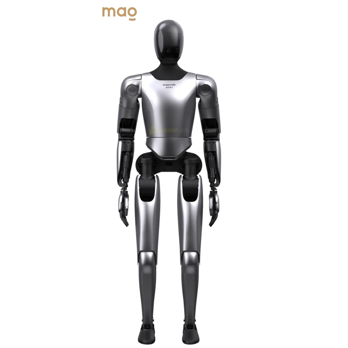 Chain Specifications.pdf MagicLab MagicBot Gen1 Specs & Price | Humanoid.guide
