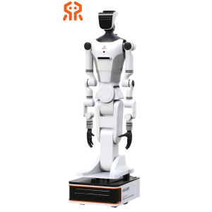 RealBot-01 Humanoid robot by RealMan Robotics humanoid guide - Featured Image