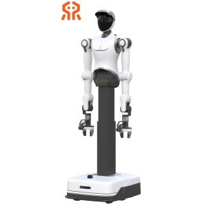 RealBot-L2 Humanoid robot by RealMan Robotics humanoid guide - Featured Image