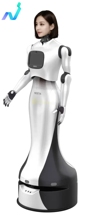W1 Humanoid robot by Noetix humanoid guide