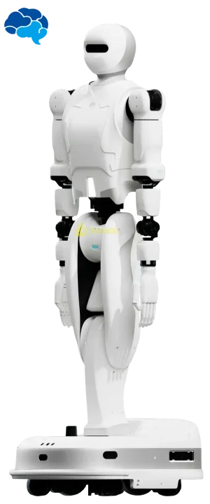 YMBot D Humanoid robot by YMBot humanoid guide