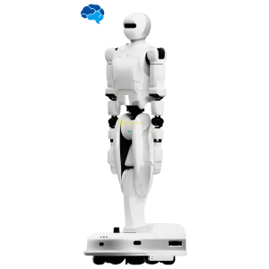 YMBot D Humanoid robot by YMBot humanoid guide - Featured Image