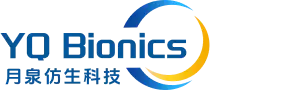 YQ Bionics logo humanoid guide